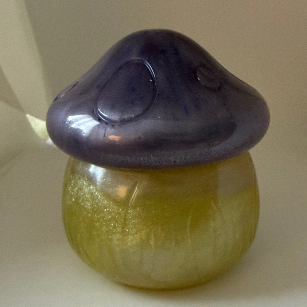 Unique Resin Artistic Mushroom Jar